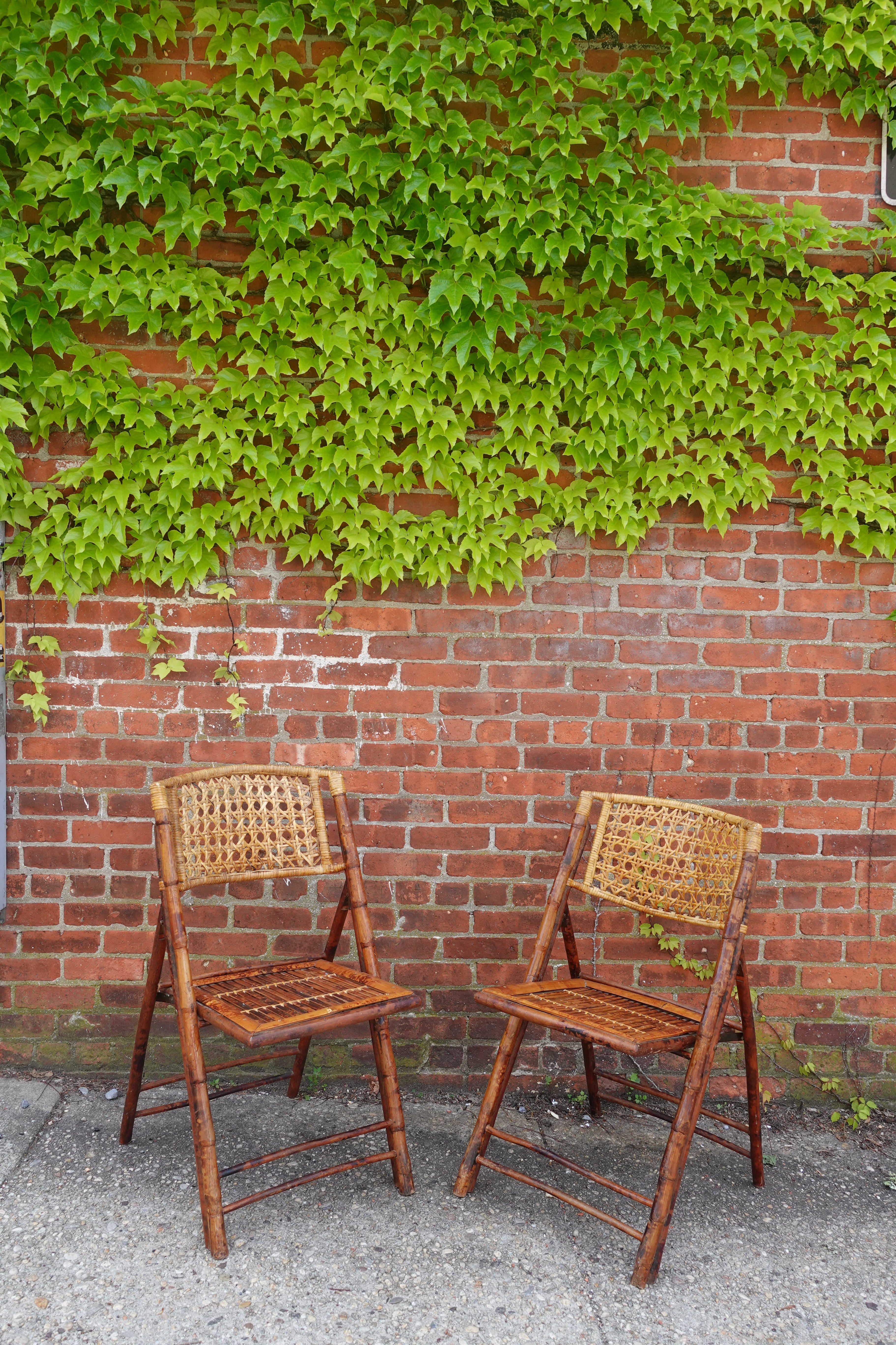 Mid Century Tortoise Bamboo Folding Chairs
