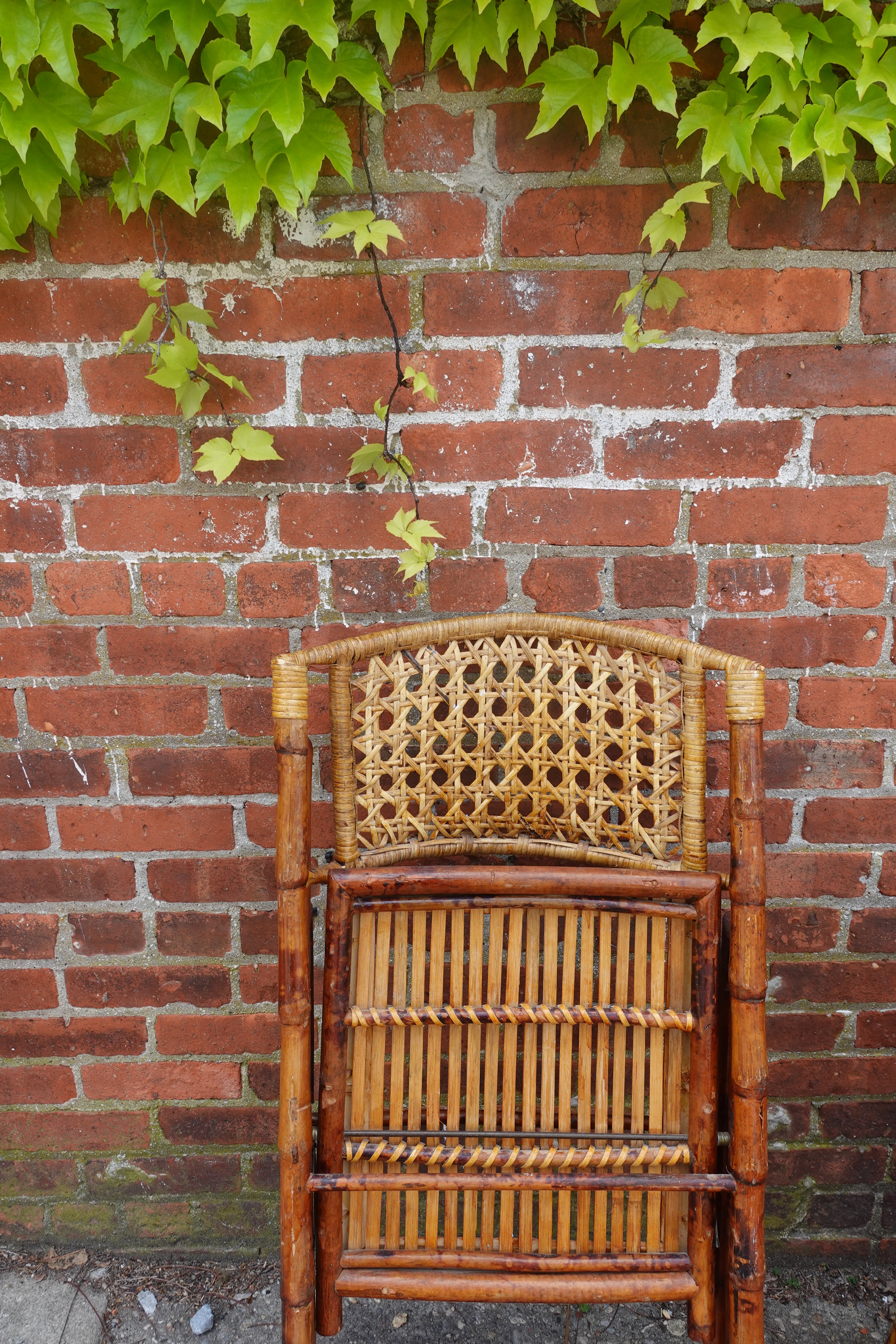 Mid Century Tortoise Bamboo Folding Chairs