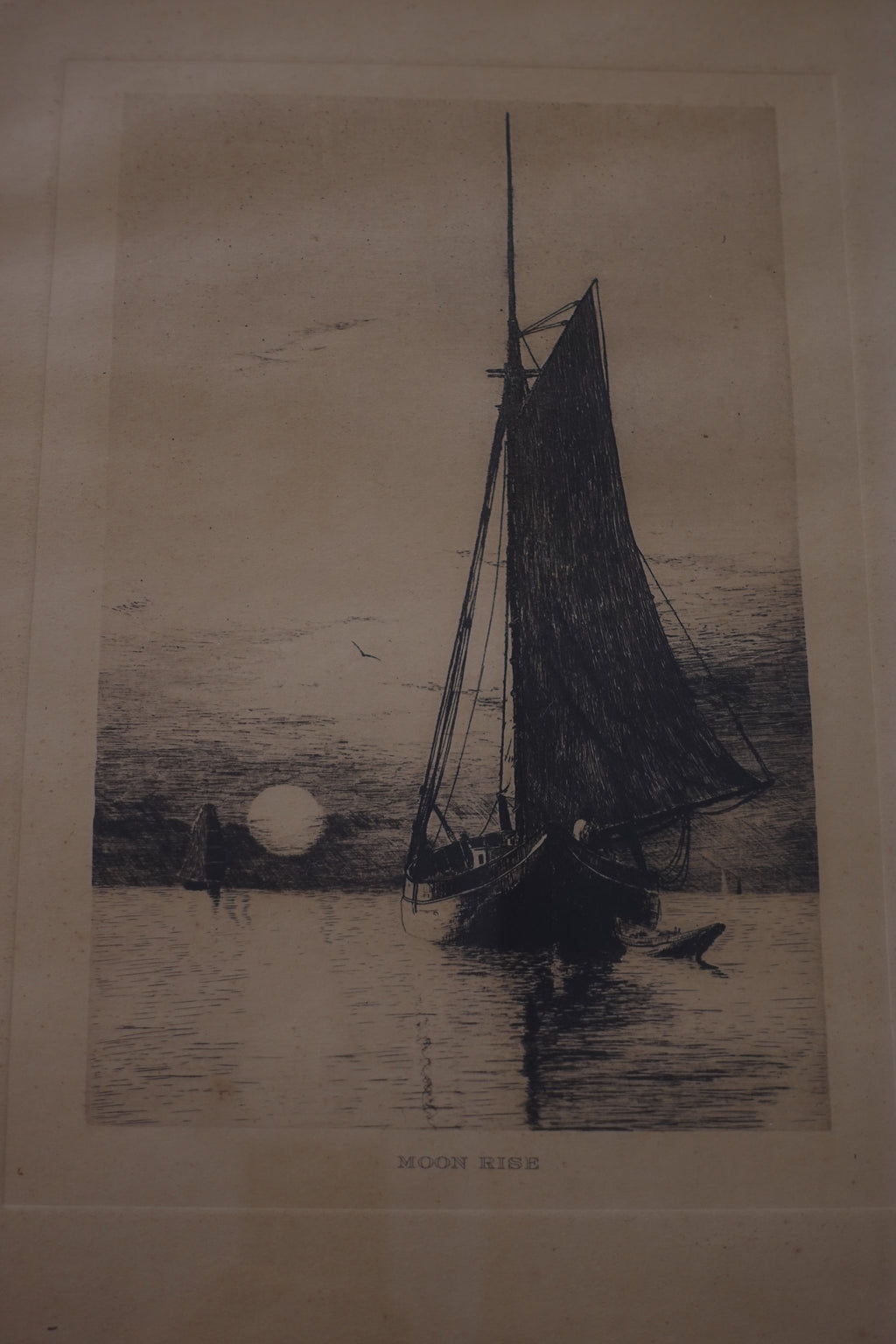Moonrise Framed Print