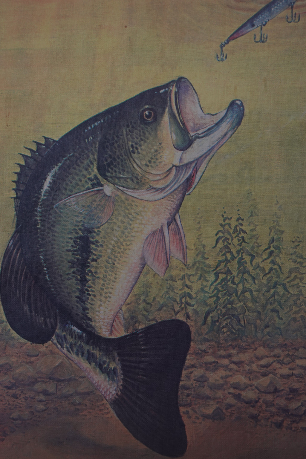 Wiley Miller Bass Print