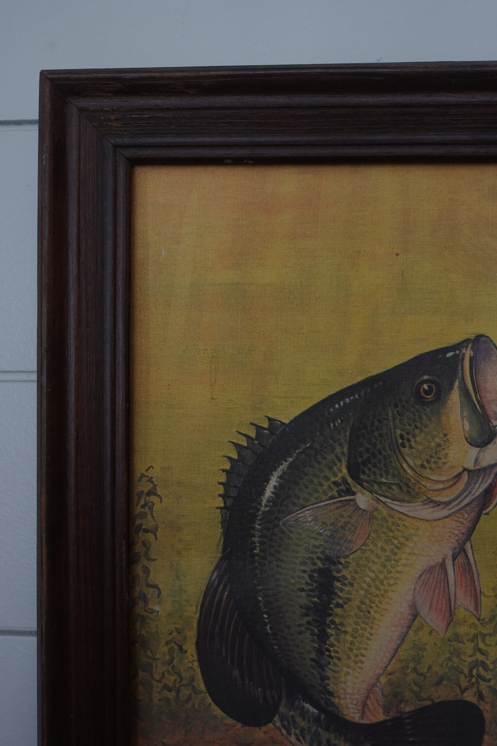 Wiley Miller Bass Print
