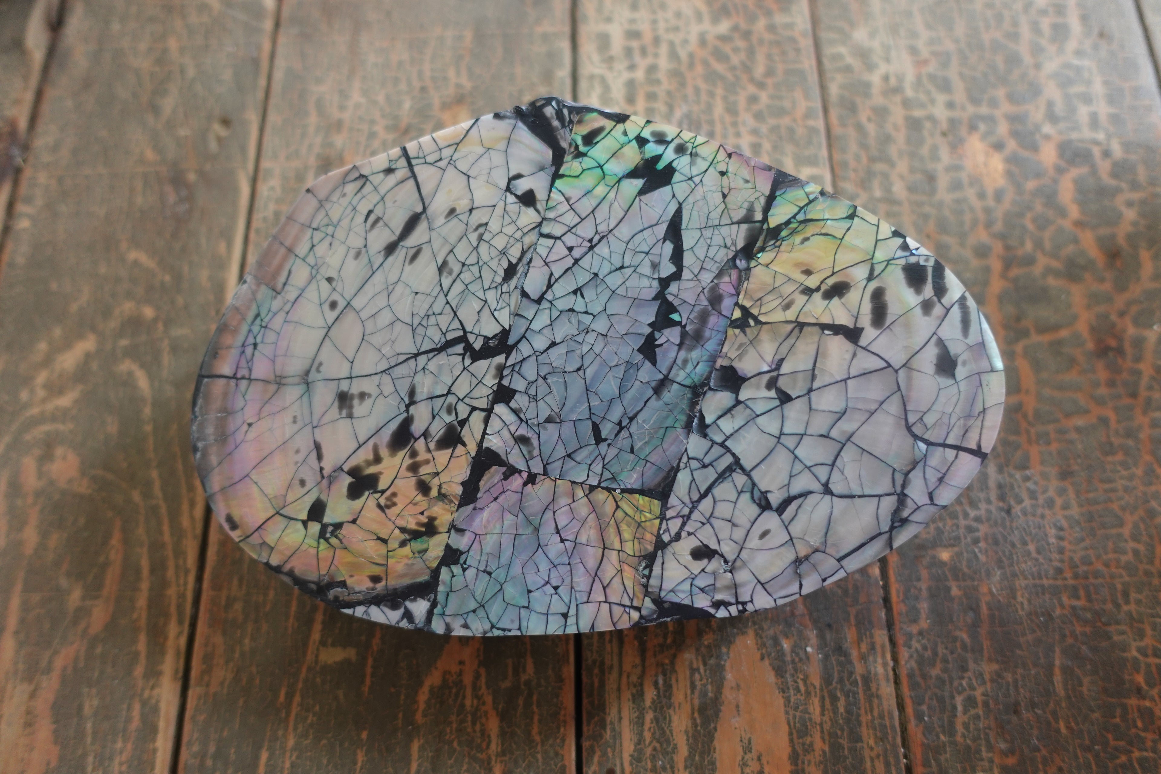 Shell Trinket Box
