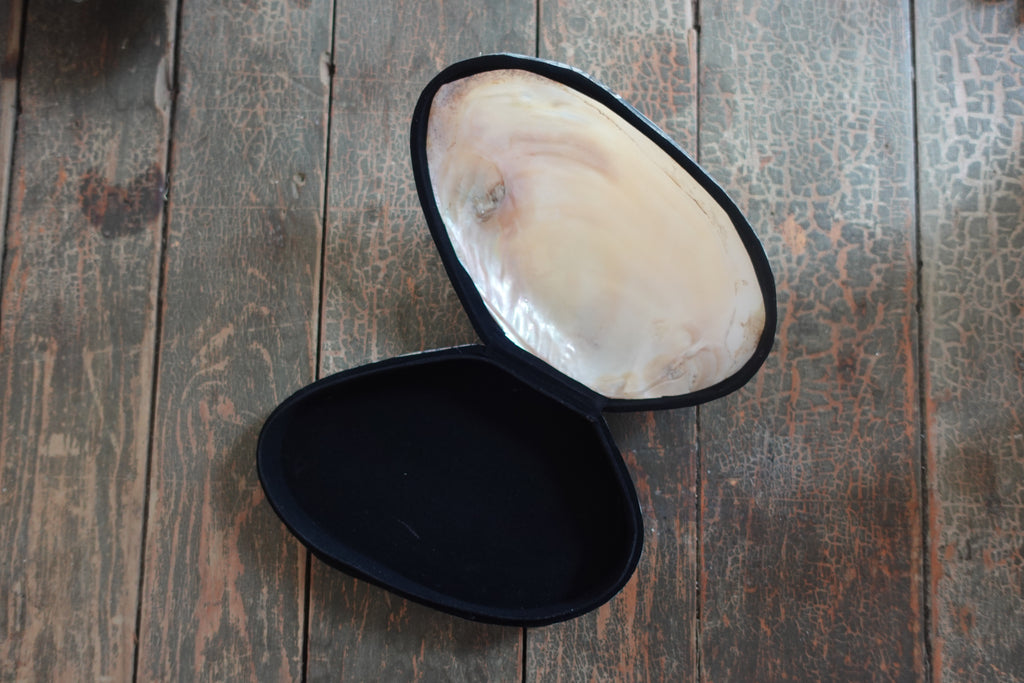 Shell Trinket Box