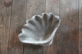 Cast Concrete Clam Shell