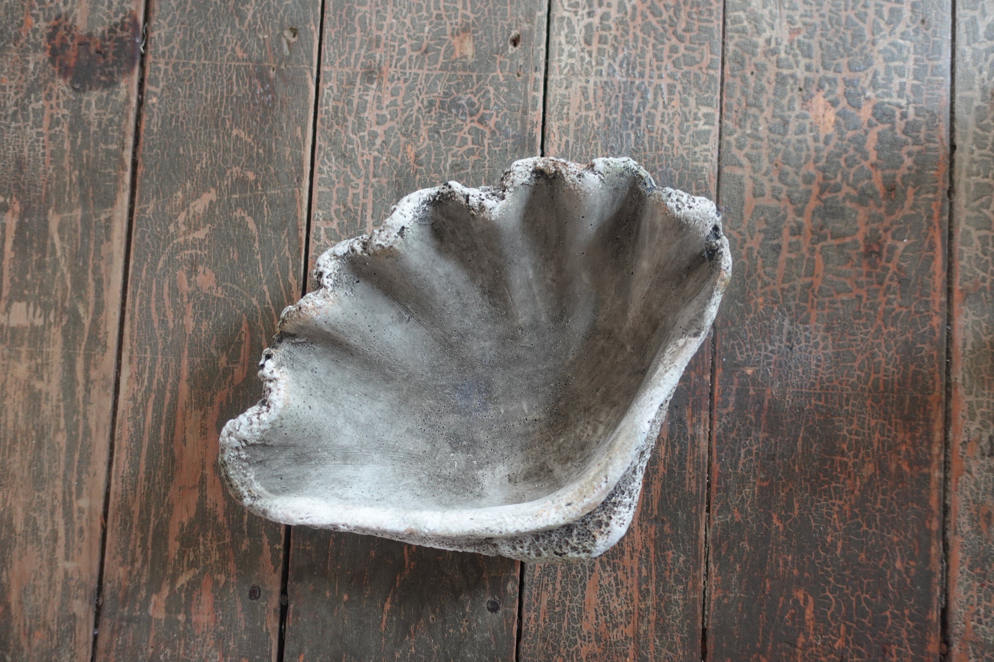 Cast Concrete Clam Shell