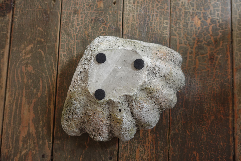 Cast Concrete Clam Shell