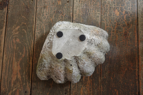 Cast Concrete Clam Shell