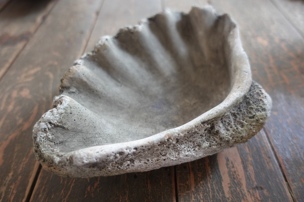 Cast Concrete Clam Shell