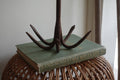 Grappling Hook